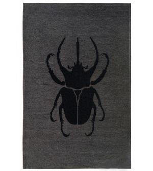 Dywan ITALIA SCARABIO Gray