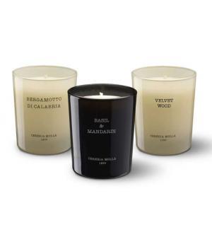 ZESTAW 3 MAŁYCH ŚWIEC 70G BERGAMOTTO DI CALABRIA, BASIL&MANDARIN, VELVET WOOD
