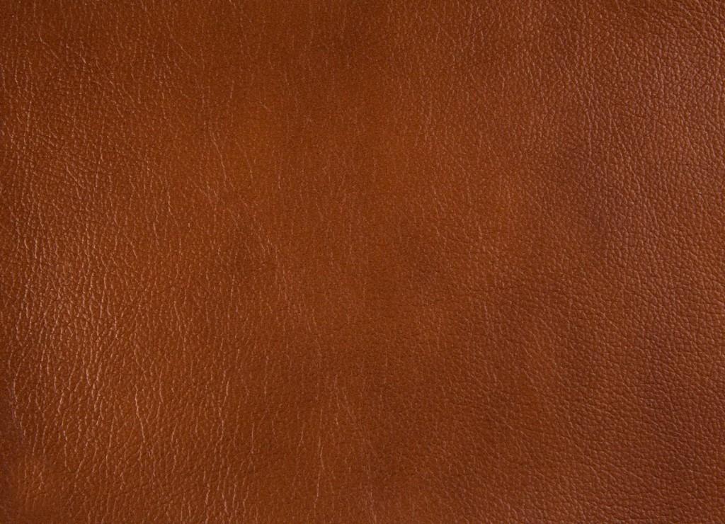 Skóra naturalna VENICE ITALIA 503