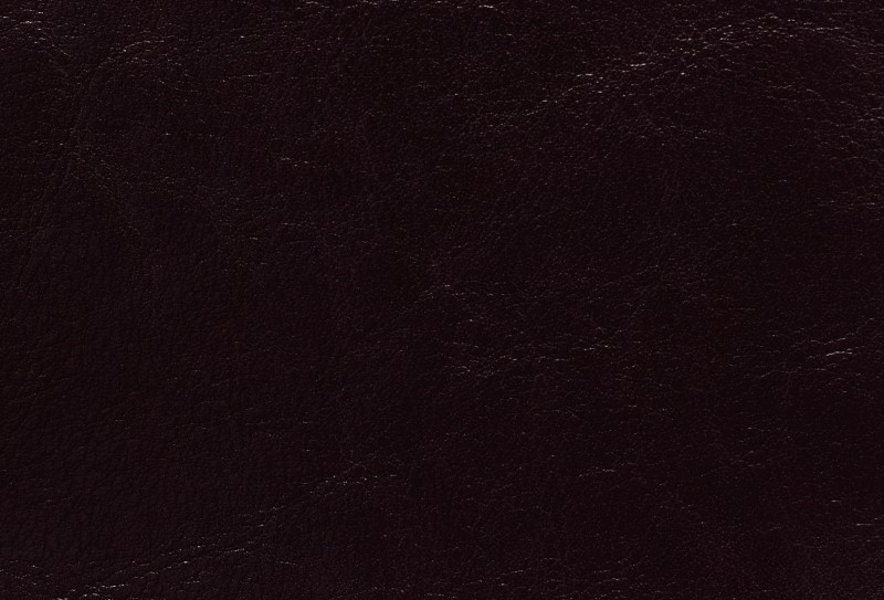 SKÓRA BYCAST 999002