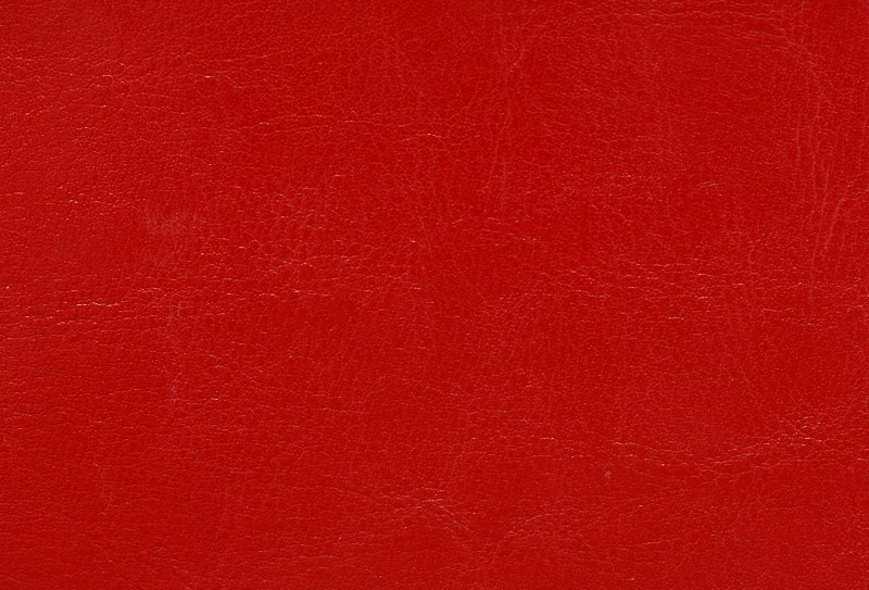 SKÓRA BYCAST 910041