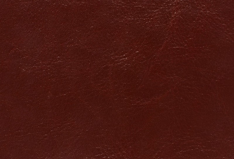 SKÓRA BYCAST 910003