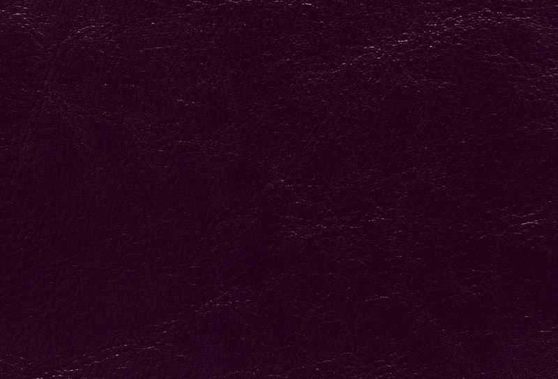 SKÓRA BYCAST 910001